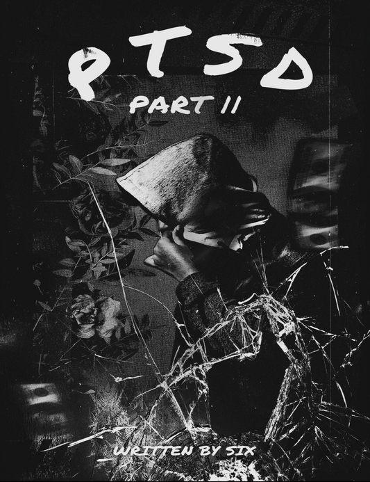 PTSD 2 - eBook
